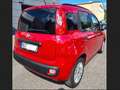 Fiat Panda Panda 1.2 Rot - thumbnail 2
