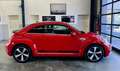 Volkswagen Beetle 1.4 TSI DSG R-Line Sport+Bi-Xenon+18" Alu Rot - thumbnail 6