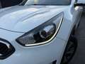 Kia Niro 1.6 GDi Hybrid First Edition 1 eigenaar, BTW-auto Weiß - thumbnail 4