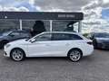 SEAT Leon LEON SPORTSTOURER STYLE EDITION 1.5 TSI NAVI Blanco - thumbnail 13