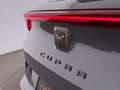 CUPRA Formentor 2.0 TDI 4Drive Aut LED SKY RADAR NAVI Grau - thumbnail 12