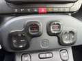 Fiat Panda 1.0 firefly hybrid (Red) s&s 70cv 5p.ti Nero - thumbnail 10