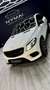 Mercedes-Benz GLE 43 AMG Mercedes-AMG 4MATIC Blanco - thumbnail 22