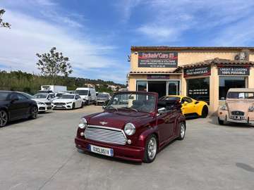 1.3 CABRIONI