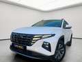 Hyundai TUCSON 1.6 TGDI HEV Maxx Sky AT Blanco - thumbnail 17