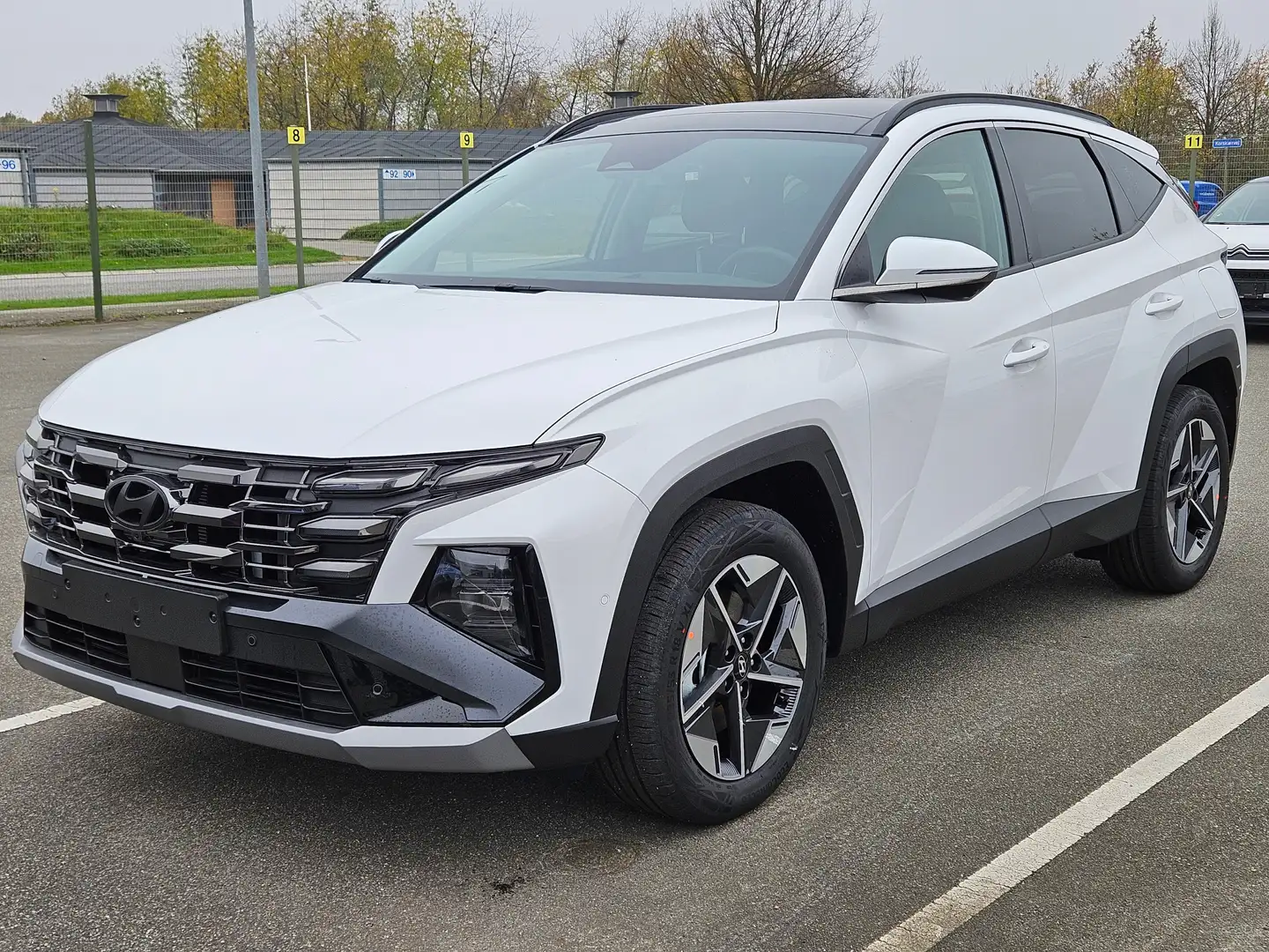 Hyundai TUCSON T-GDi 160 Mild-Hybrid Prime Automatik el. Panorama Wit - 1