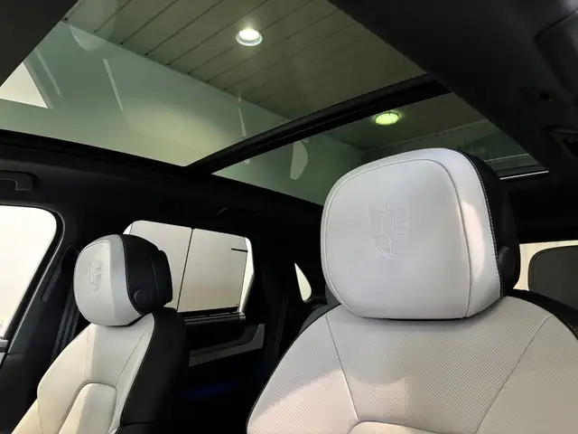 Porsche Cayenne E-Hybrid Ansicht 10