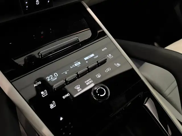 Porsche Cayenne E-Hybrid Ansicht 20