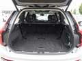 Volvo XC90 Plus T8 AWD Plug-in Hybrid/B&W/AHK/FourC Grau - thumbnail 24