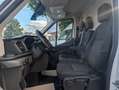 Ford Transit TRANSIT 3,5t Trend L4H3 Hochdach *HIGH QUALITY!* Blanco - thumbnail 22