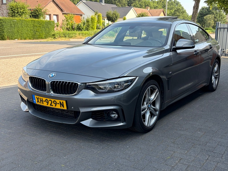 BMW 418 418 M Sport Shadow S.dak Leder HUD H/K Camera Carp — photo 19