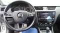 Skoda Octavia 1.6 TDI CR 115 CV, Automatica, SW, "Executive".. Grigio - thumbnail 10