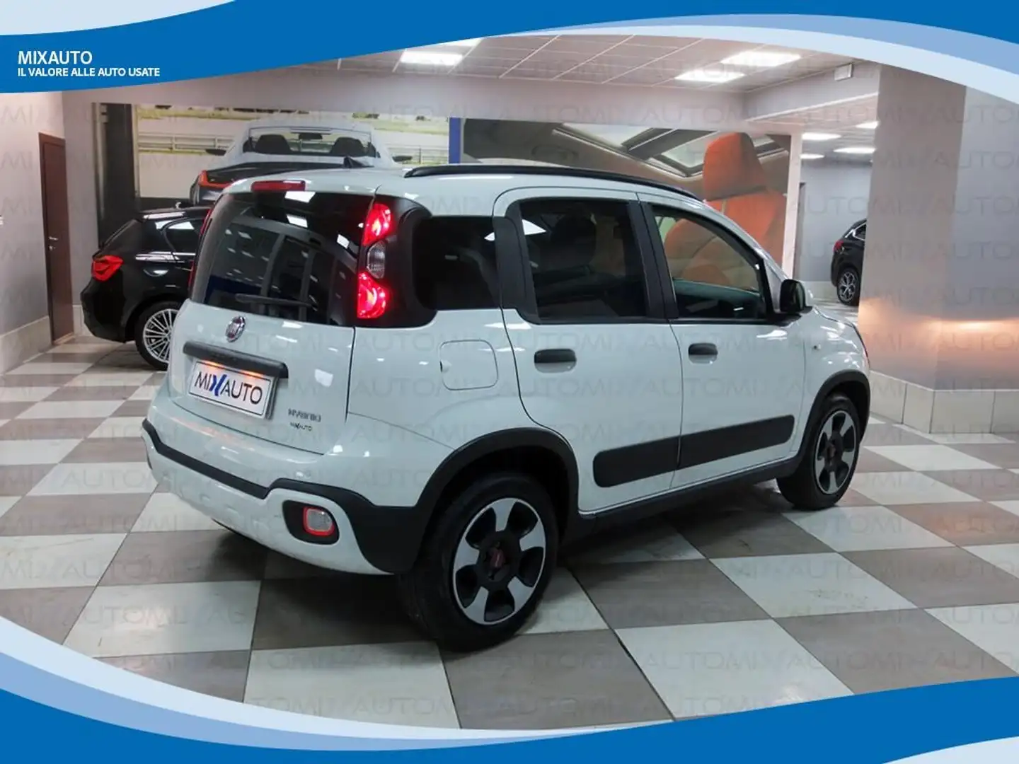 Fiat Panda Cross Hybrid 1.0 FireFly 70cv EU6 Bianco - 2