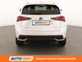 Lexus NX 300h NX 300h Executive 4WD FHEV Weiß - thumbnail 5