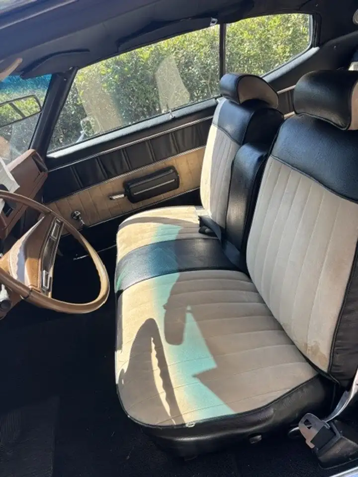 Buick Skylark, foto 4