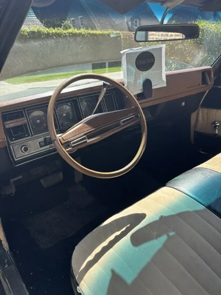 Buick Skylark, foto 5