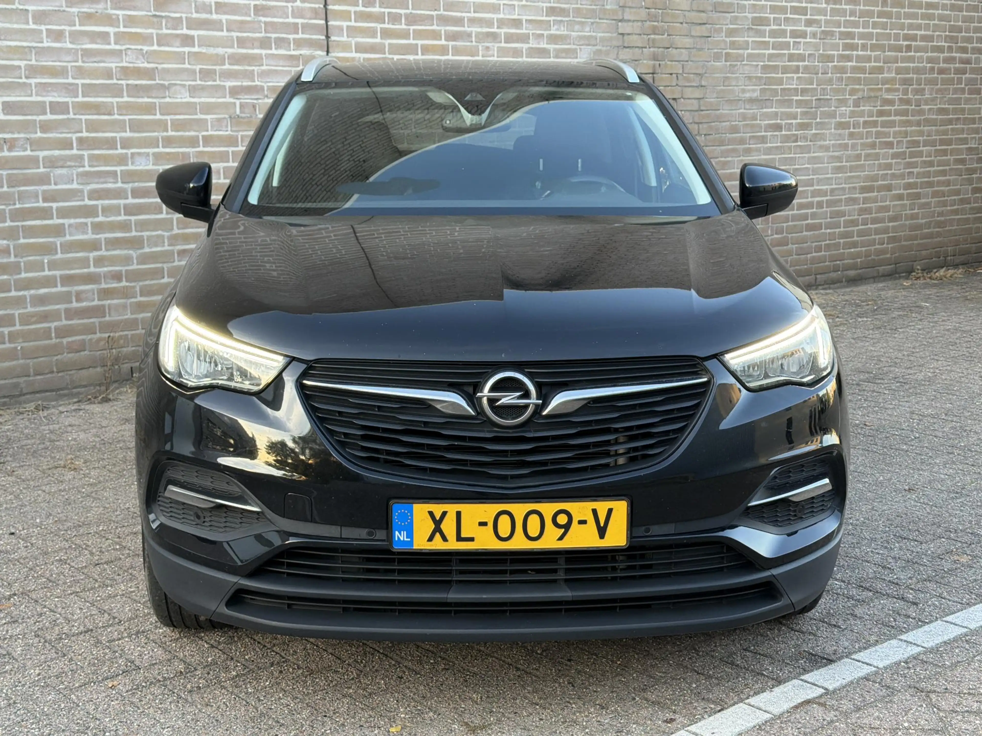 Opel Grandland X 1.2 Turbo Business + | Climate | Cruise | Navi | P — photo 5