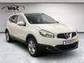 Nissan Qashqai+2 1.6 Acenta 7SITZER*PANO*KAMERA*AHK Weiß - thumbnail 8