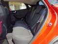 Ford Puma 1.0 ecoboost Titanium s&s 125cv Rosso - thumbnail 14