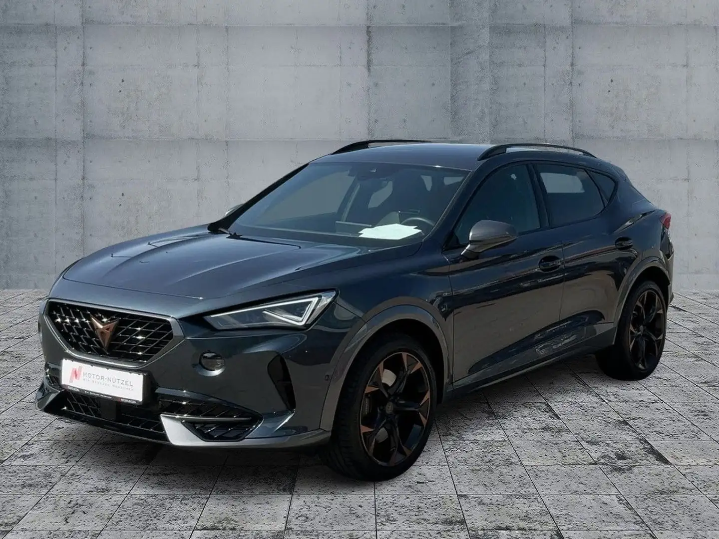 CUPRA Formentor 2.0 TSI DSG MATRIX+NAVI+BEATS+RFK+ACC Grau - 2