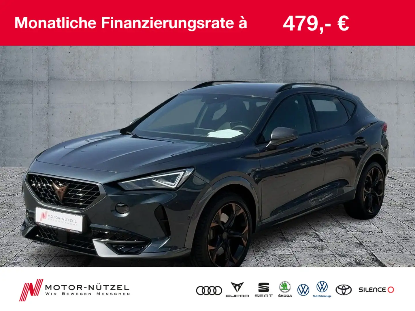 CUPRA Formentor 2.0 TSI DSG MATRIX+NAVI+BEATS+RFK+ACC Grau - 1