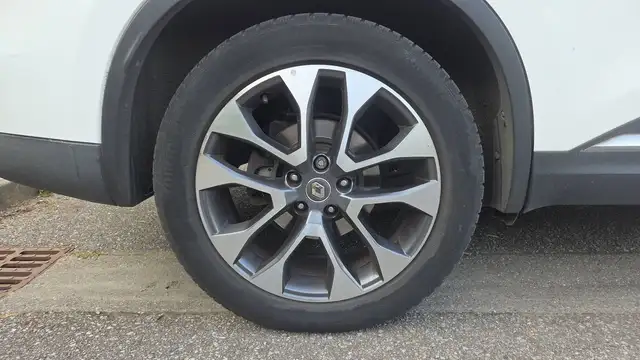 Renault Koleos view 16
