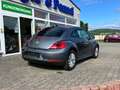 Volkswagen New Beetle DSG Klima PDC Navi Bluetooth Grau - thumbnail 4