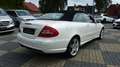 Mercedes-Benz CLK 200 K Grand Edition 1.Hand wenig KM !selten! Alb - thumbnail 25