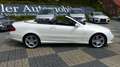 Mercedes-Benz CLK 200 K Grand Edition 1.Hand wenig KM !selten! Alb - thumbnail 6