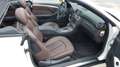 Mercedes-Benz CLK 200 K Grand Edition 1.Hand wenig KM !selten! Alb - thumbnail 13