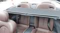 Mercedes-Benz CLK 200 K Grand Edition 1.Hand wenig KM !selten! Alb - thumbnail 11