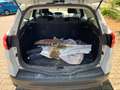 Ford Focus Turnier 1.0 EcoBoost  Business Edition Blanco - thumbnail 9