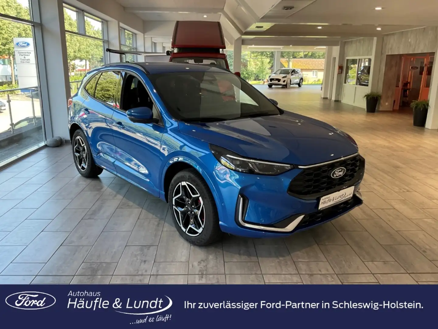 Ford Kuga Plug-In Hybrid ST-Line X Technologie-Paket Winterp Blau - 1