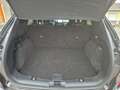 Ford Kuga 2,0 EcoBlue AWD ST-Line X Aut. Grau - thumbnail 13