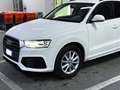 Audi Q3 2.0 tdi Business 120cv s-tronic - thumbnail 3