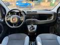 Fiat Panda Panda 2019 - 1.2 bz. 69cv Lounge Gris - thumbnail 6