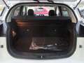 EVO EVO5 1.5 Turbo Bi-fuel GPL - NEOPATENTATI Bianco - thumbnail 13