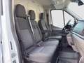Ford Transit Kasten 2,0 EcoBlue L3H2 350 Trend Kamera/Navi/F... Weiß - thumbnail 17