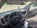 Fiat Panda 1.0 firefly hybrid s&s 70cv Nessun Vincolo di Fina Grau - thumbnail 6