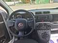 Fiat Panda 1.0 firefly hybrid s&s 70cv Nessun Vincolo di Fina Grau - thumbnail 5