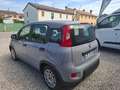 Fiat Panda 1.0 firefly hybrid s&s 70cv Nessun Vincolo di Fina Grau - thumbnail 7