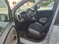 Fiat Panda 1.0 firefly hybrid s&s 70cv Nessun Vincolo di Fina Grau - thumbnail 3
