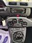 Fiat Panda 1.0 firefly hybrid s&s 70cv Nessun Vincolo di Fina Grigio - thumbnail 13