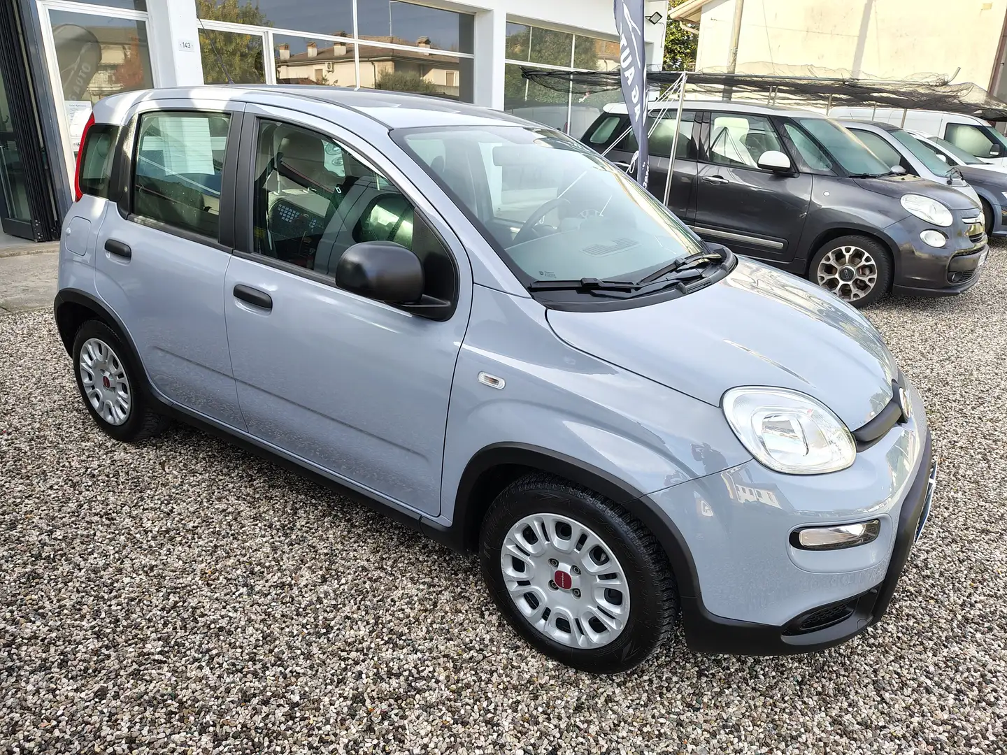 Fiat Panda 1.0 firefly hybrid s&s 70cv Nessun Vincolo di Fina Gris - 2