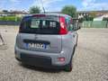 Fiat Panda 1.0 firefly hybrid s&s 70cv Nessun Vincolo di Fina Grau - thumbnail 4