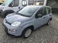 Fiat Panda 1.0 firefly hybrid s&s 70cv Nessun Vincolo di Fina Grigio - thumbnail 3