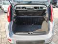 Fiat Panda 1.0 firefly hybrid s&s 70cv Nessun Vincolo di Fina Grau - thumbnail 18