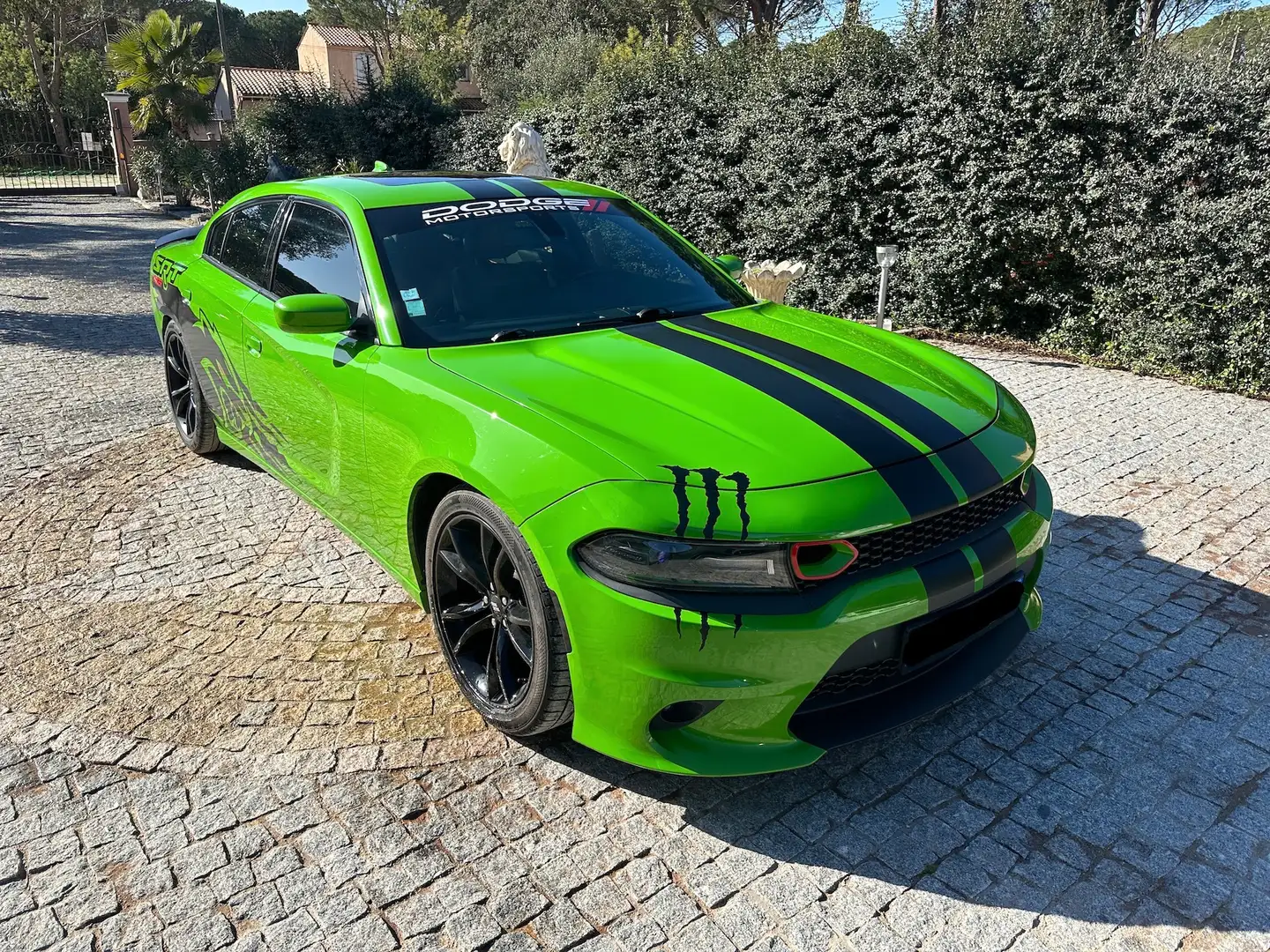 Dodge Charger HELLCAT DESIGN 3.6L Trade Inzahlungnahme Fahrzeugs Grün - 2