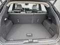 Ford Premium Fahrerassist.Paket B&O Matrix Negro - thumbnail 15
