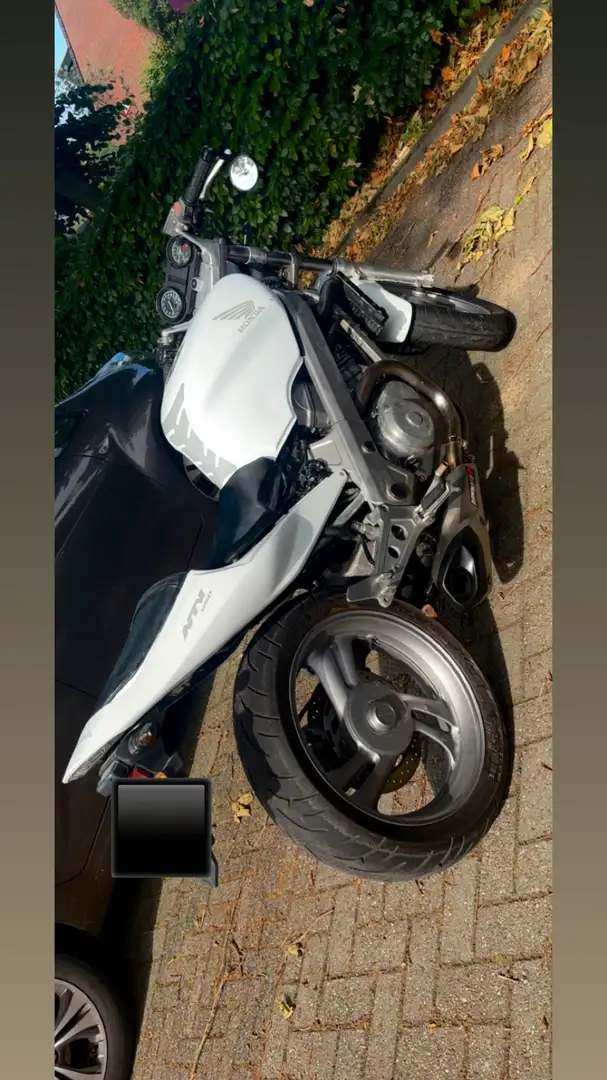 Honda NTV 650 - 1